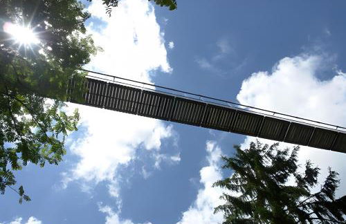 Ferienhaus Völkle - Foto 8