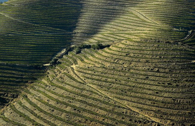 Quinta de la Rosa - Foto 55