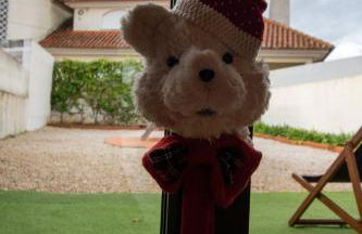 casinha do corvo - Foto 42