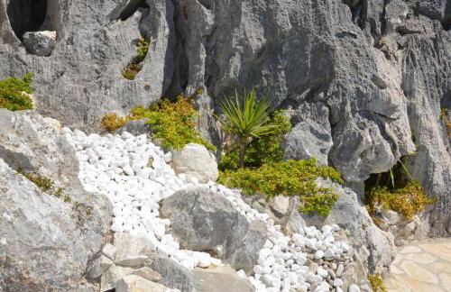 Stone House Marin - Photo 6