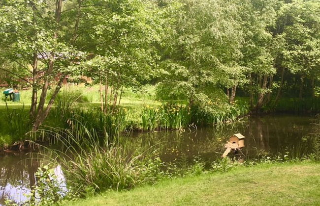 Hollicarrs - Wildflower Lodge - Foto 20