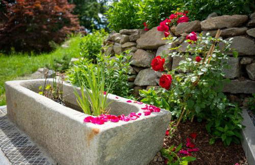 Premium Ferienhaus für 4 Personen mit großem Garten - Foto 23