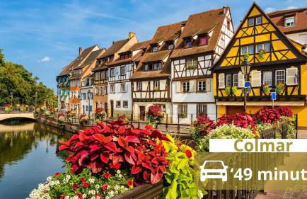 LOVE ROOM Love and Spa, Nature and Rest - Foto 14