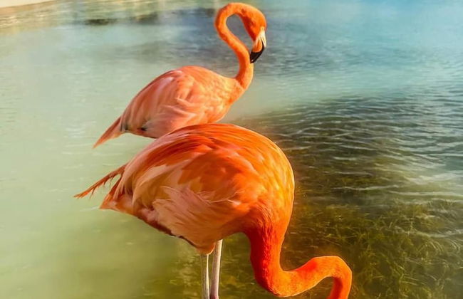 Remarkable 1-bed Apartment in Noord - Foto 29