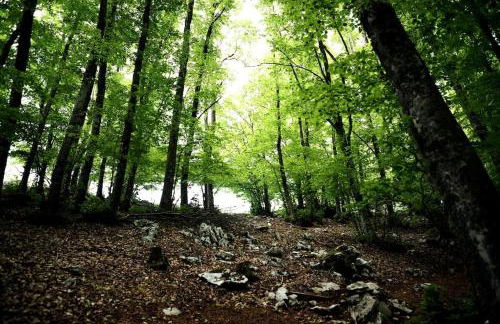 Accogliente casina nel centro storico di Serrone - Foto 30