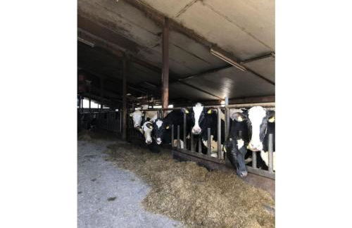 Hinrichsen Farm Holiday Apartment - Foto 18