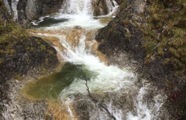Landhaus Renata - Wendelstein - Foto 75