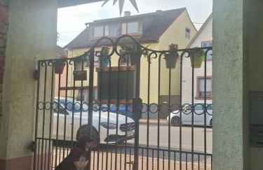 Zentrale Fewo zwischen Heidelberg und Mannheim - Foto 28