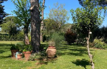 Tenuta Poggio alla Farnia - Foto 15