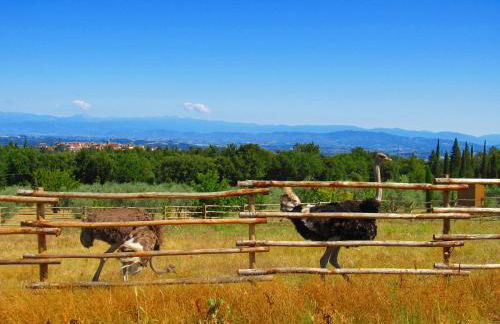 LA RIMESSA EXPERIENCE-Dream Holiday Home - Foto 9