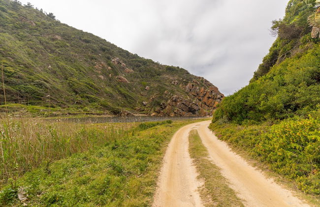 Ballots Bay Treehouse by HostAgents - Photo 33