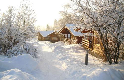 Blockhäuser Stamsried - Photo 20