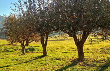 Herzleierhof Rodeneck - Photo 41
