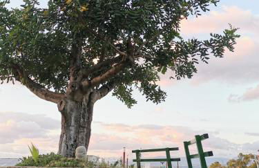 Casalesanpietro - Foto 46