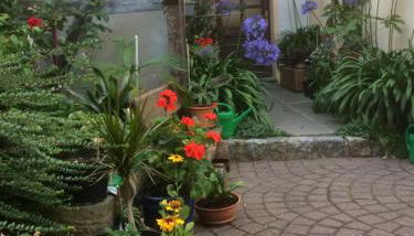 Otterbau - Foto 4, Garden