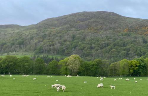 Tig Cottage - a rural, quirky, pet friendly 2 bedroom cottage near Ballantrae - Foto 56