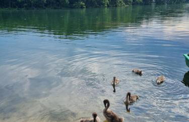 Apartament Nova Kamienica 1 - Foto 18