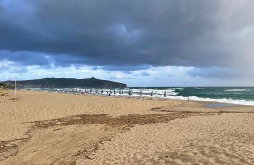 Cozy Studio - Foto 21