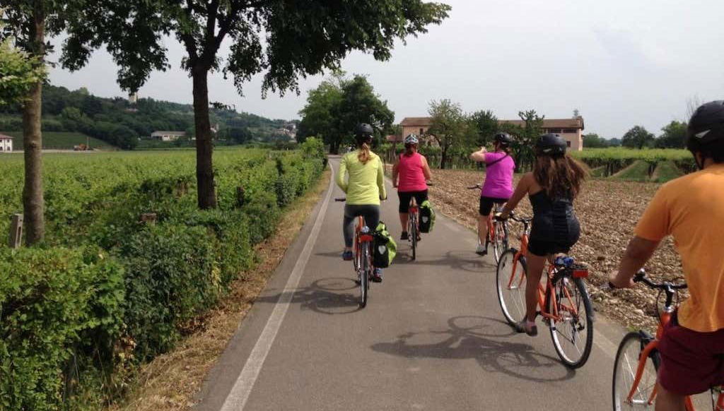 Valpolicella Electric Bike Wine Tour - Foto 1