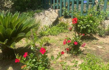 Villetta belvedere - Photo 29