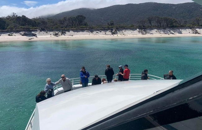 Wineglass Bay Cruise - From Hobart - Photo 6