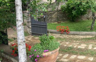 “Da Paolino” - Foto 32