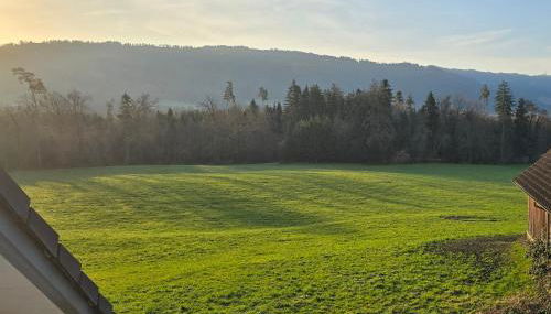 Vierländereck - Suites - Leiblachtal - Foto 4