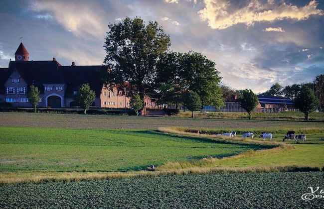 Rustic Retreat w/ Pool - Photo 37