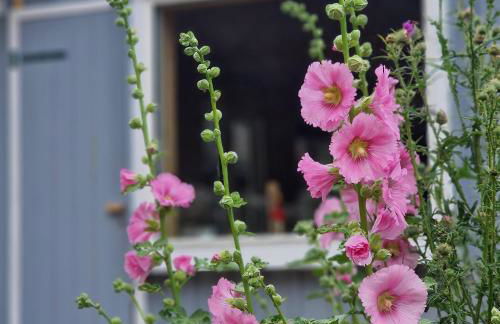 Kleine Auszeit - Foto 45