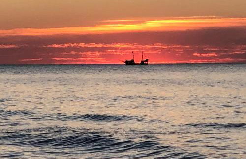 Goose Home and Garden - Photo 41