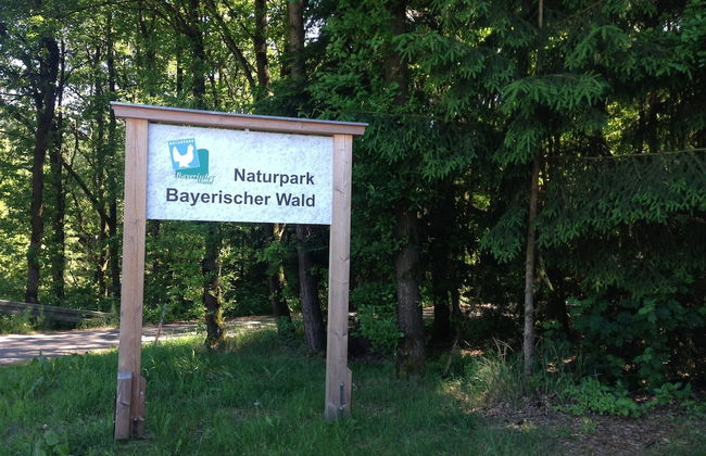 Ferienwohnung in Bernhardsberg Nahe Skipisten - Photo 27