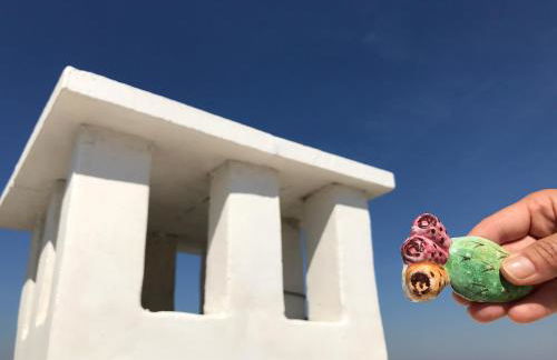 B&B Borgo Monacizzo - Foto 27