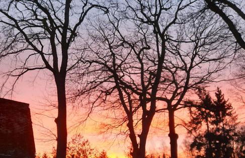 Dammann's Hof - Foto 12