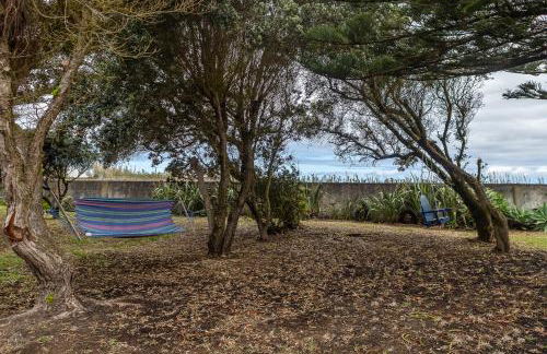 Casa Beira Mar - Photo 44