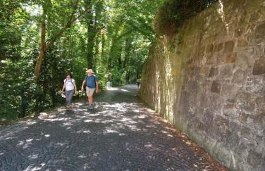 Ferienwohnung zum Wohlfühlen - Foto 38