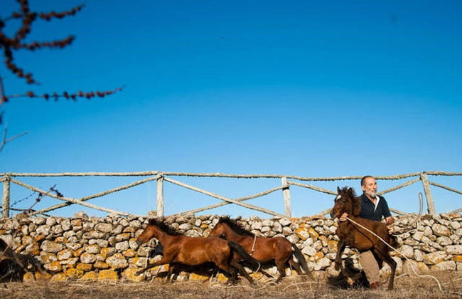 Agriturismo Cuaddus e Tellas - Foto 26