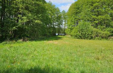 Siedlisko Silna Nowa - Foto 5