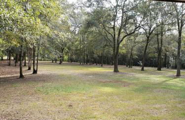 Charming Country Cabin with Self Check In - Foto 11