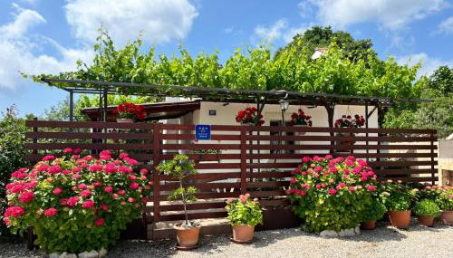 Holiday Home Lana - Foto 2, Garden