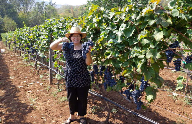 Tour pela Planície de Zeta - Foto 2