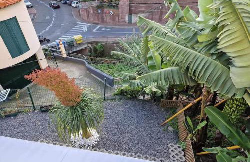 House in Camara de Lobos - Foto 19