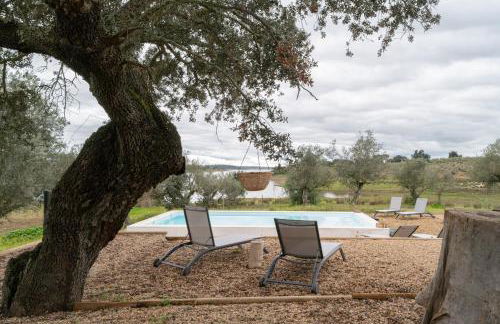 Monte Santo António - Alqueva - Foto 1