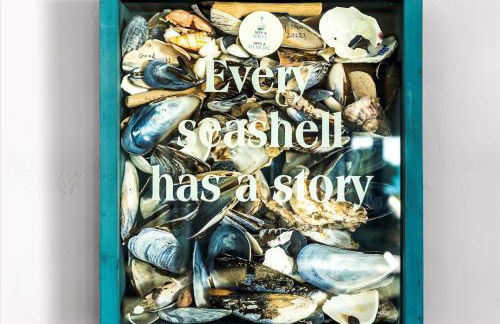 Bodega Bay Beach Home VIEWS Fire Table Dogs OK - Foto 25