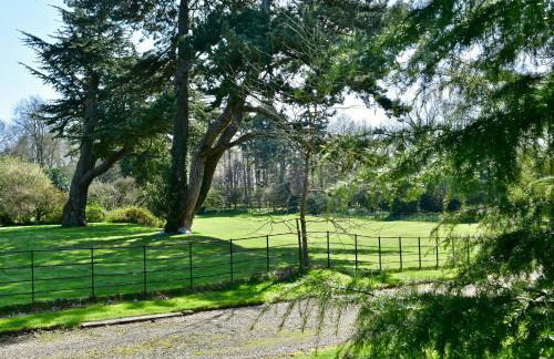 Bluebell Studio - Foto 17