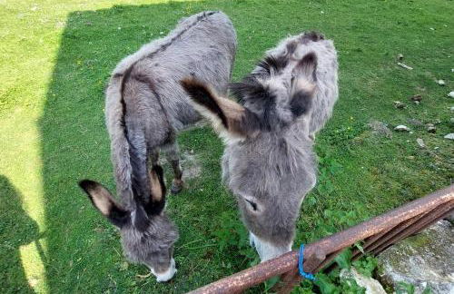 Gite de Verette - Foto 20