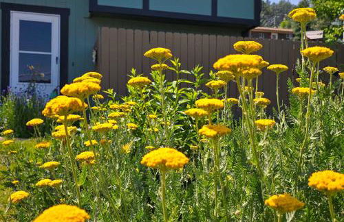 Near Red Rocks, Hiking and Skiing Kittredge Condo! - Foto 26