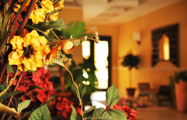 Greta Rooms Hotel - Photo 43