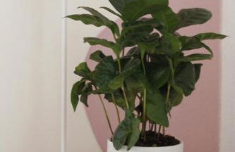 Agriturismo Cascina Capo - Foto 12