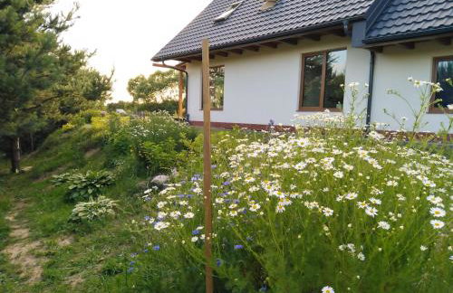 Sosnogródek - Foto 32