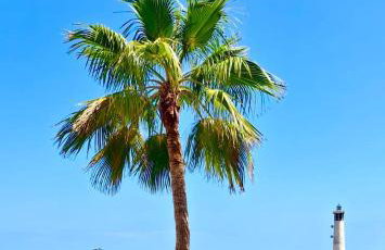 Sun&Ocean - Foto 12
